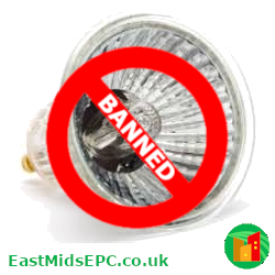 Halogen bubs to be banned